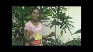 Download lagu Demi cinta || Lagu viral maumere ( official video ) mp3