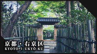 京都右京区の細道の先に緑と紅のもみじが魅せる庭園と神社仏閣3選 l Beautiful Japanese Garden in Kyoto Ukyo【Kyoto Ukyo-ku】