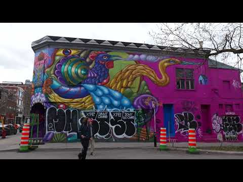 Canada's Graffiti City: Montreal