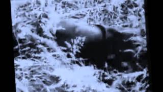 MOLLY NILSSON   think pink