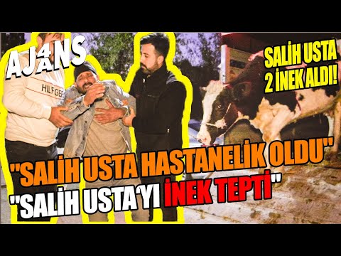 These images are no joke! Master Salih was knocked to the ground by a cow and ended up in the hos...