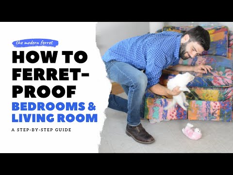 YouTube video about: How to ferret proof wires?
