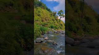 Download lagu Suasana Desa yang tenang dengan sawah sungai dan air terjun yang jernih | Story WA Pemandangan Alam mp3 Download lagu Suasana Desa yang tenang dengan sawah sungai dan air terjun yang jernih | Story WA Pemandangan Alam mp3