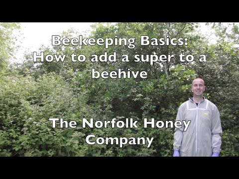 Beekeeping Basics - How to Add a Super - The Norfolk Honey Co.