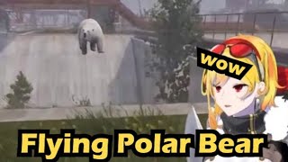 [Holo] Kaela 生態全紀錄-企鵝被北極熊捕食