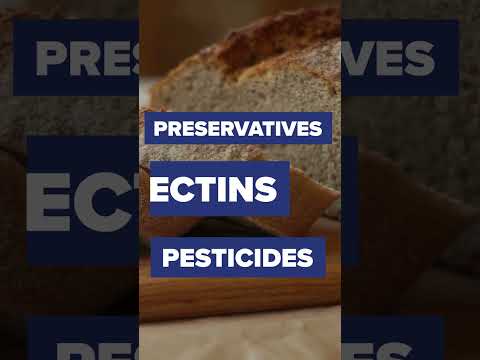 Dr. Gundry Debunks the Wheat Bread Myth