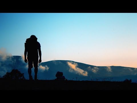 The Journey | Best of Oscuro 2023 Chillstep Mix