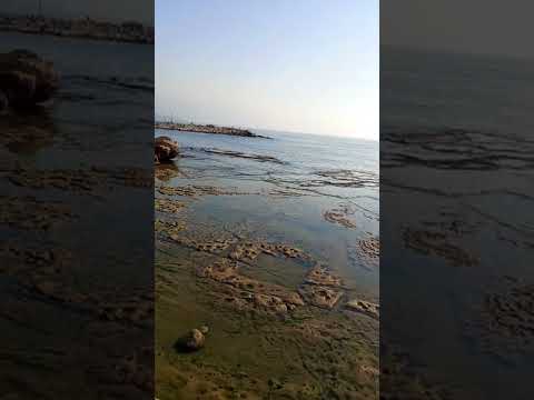 beach for jobel palubog