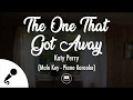 The One That Got Away - Katy Perry (Male Key - Piano Karaoke)