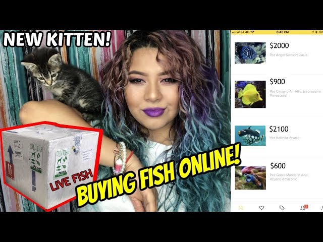 BUYING EXOTIC FISH ONLINE AND HAVING THEM SHIPPED TO YOU! HOW I DO IT (SHOP WITH ME)