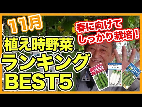  11月に植える果樹はどれですか?おいしい収穫のためのリストをご覧ください!  庭園