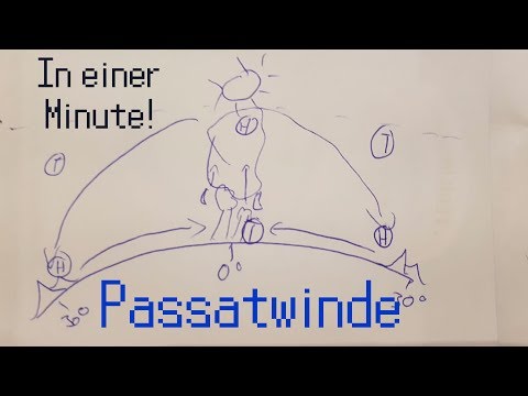 Passatkreislauf in EINER MINUTE