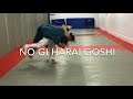 No gi Judo throw Harai goshi
