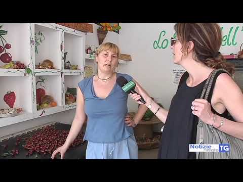 2019-06-11 PRATO - VIALE MONTEGRAPPA, CHIUSURA A SORPRESA. POLEMICHE