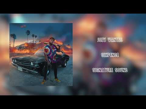 6. JOEY VANTES - SIXPENCE