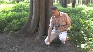 Soil Water Content Measurement