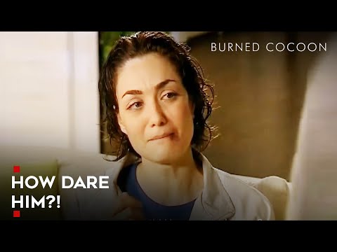 A Big No To Violence Against Women! | Burned Cocoon Episode 3 | English Subtitle