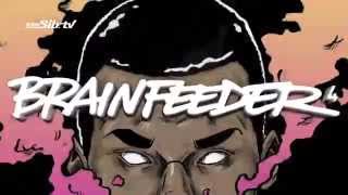 ageHa 14523 Fri BRAINFEEDER4