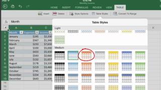 HOW TO USE TABLES IN EXCEL FOR IPAD