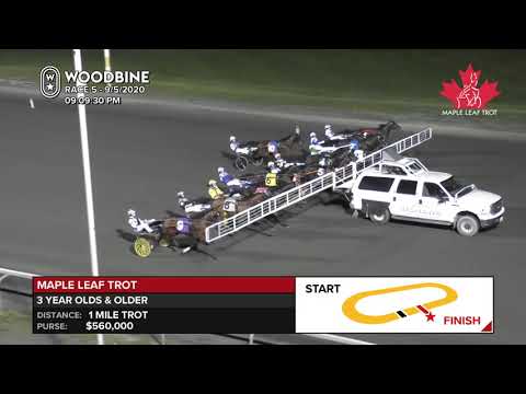 Woodbine, Mohawk Park, September 5, 2020 Race 5 - Maple Leaf Trot