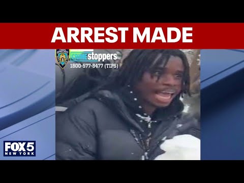 Man with prior arrest taken into custody in NYPD snowball fight case