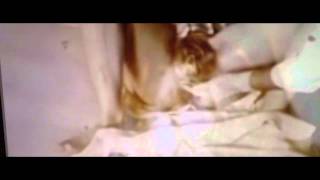 Music Blues - 91771 (Official Music Video)