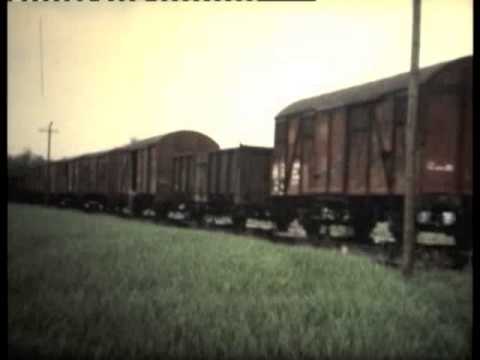 Döllnitzbahn Oschatz- Mügeln 1983