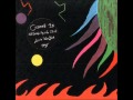 Current 93 - The great, bloody bruised Veil of ...