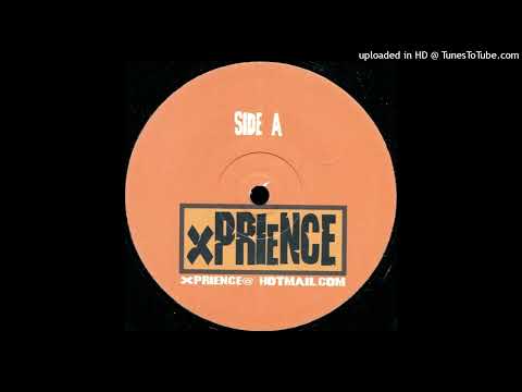 Fred Pellichero & Sandy Wilhelm - Heart Of Glass (Vocal)