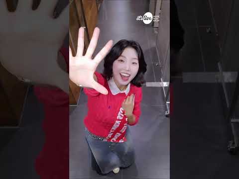 김연희