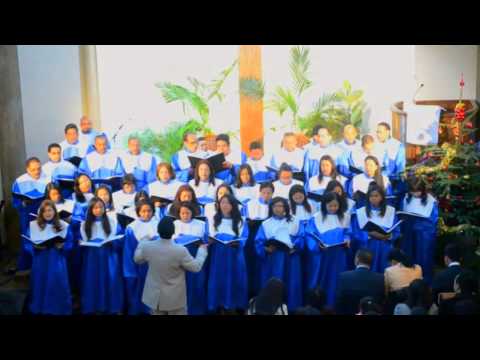 AMF FPMA Vincennes- Krismasinay (2013)