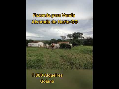 Excelente Fazenda em Alvorada do Norte-GO #Fazenda #venda #investimentos #agro #agronegocio