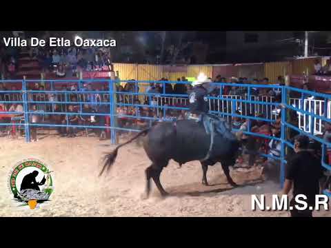 Malborito de la cdmx vs toro Robocop