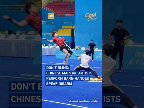 Don't blink: Chinese martial artists perform bare-handed spear disarm #coolchina