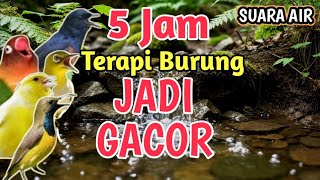 Download lagu JERNIH‼️ 5 Jam Suara Air Alami Untuk Terapi Semua Jenis Burung Macet Bunyi dan Stress mp3