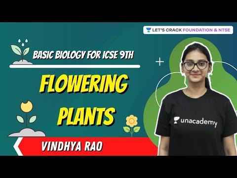 Flowering Plants | ICSE 9 | Foundation & NTSE | Vindhya Rao