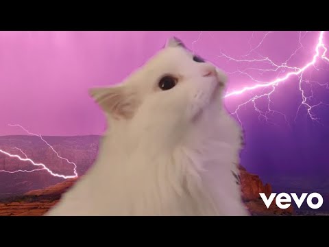 Imagine Dragons - Thunder - Cat Cover