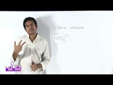 Cholera II কলেরা