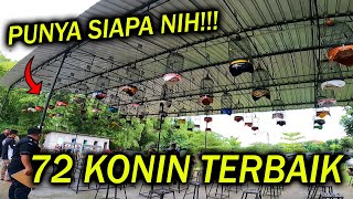 Download lagu BEST KONIN IN JOGJA THIS YEAR || KNI YOGYAKARTA ROTATING CUP 2021 || BIRD SINGING COMPETITION mp3 Download lagu BEST KONIN IN JOGJA THIS YEAR || KNI YOGYAKARTA ROTATING CUP 2021 || BIRD SINGING COMPETITION mp3