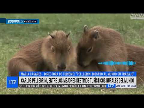 Carlos Pellegrini, entre los mejores destinos turísticos: charlamos con María de los Ángeles Casares