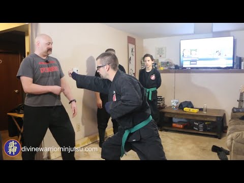 8 - Taijutsu - Unarmed Combat (体術)