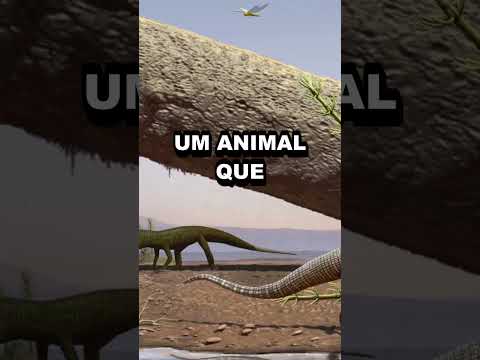 O nome dele significa perna do silêncio #ciencia