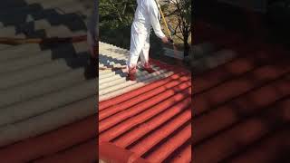 SISTEMA PARA EL ENCAPSULADO DE URALITA O ASBESTO