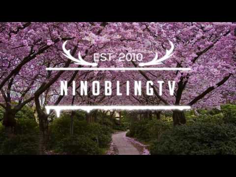 Stiekz X Nicolius - Hashi Bango