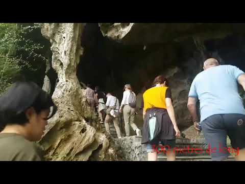 grotte de Trung Trang sur l'île de Cat Ba. l'une des pkus belles grottes très visitées