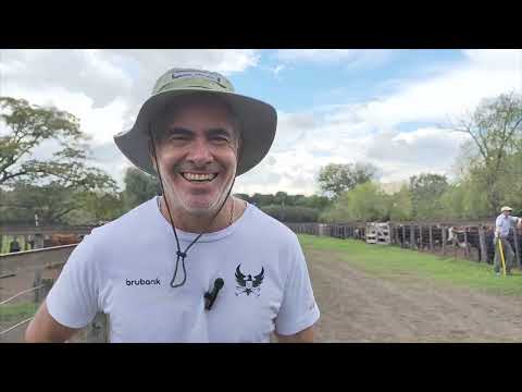 Alfonso Monasterio - Remate de Monasterio Tattersall y la Coop. Agric. Gan. de Tandil y Vela - 28/3