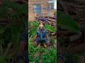 SALAWA NYANGUMI UJUMBE WA MADANGA 11 8 2023