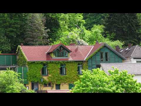 Stettbach Impressionen