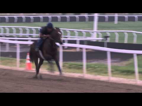 Divining Rod Final Work 5/9/15