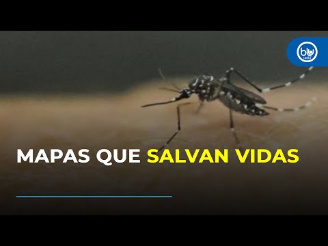 ¿Se puede anticipar al dengue? El modelo colombiano que salva vidas